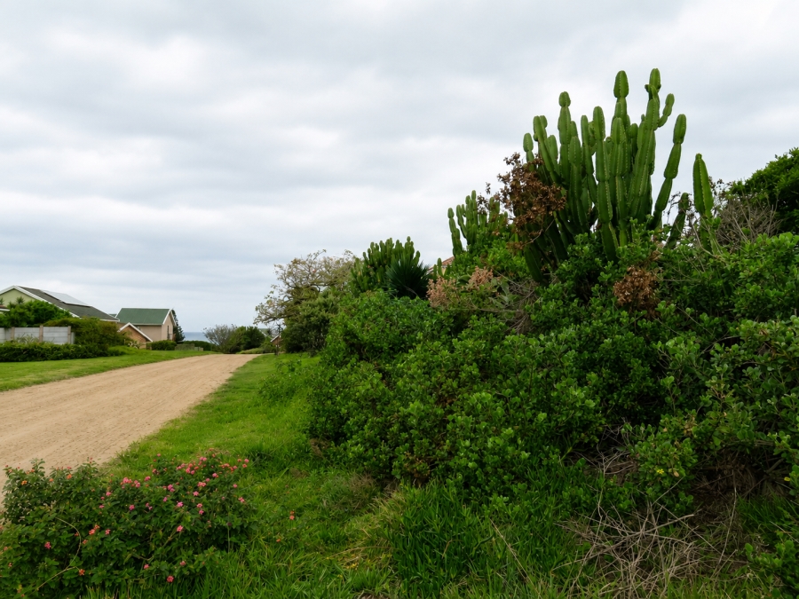 0 Bedroom Property for Sale in Forest Downs Eastern Cape